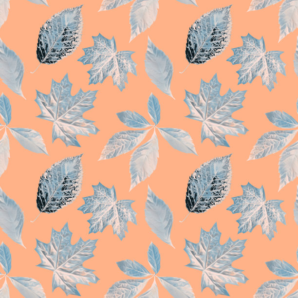 秋叶无缝图案。图片下载