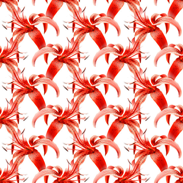 花的背景图片下载