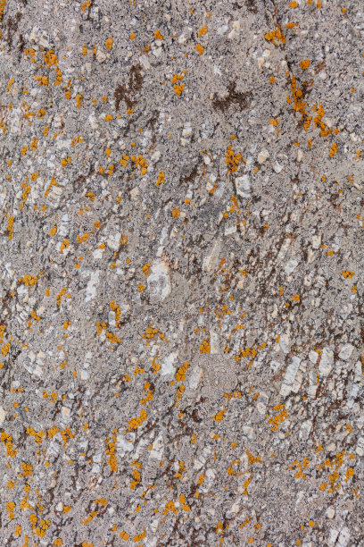 以地衣为背景的岩石图片下载