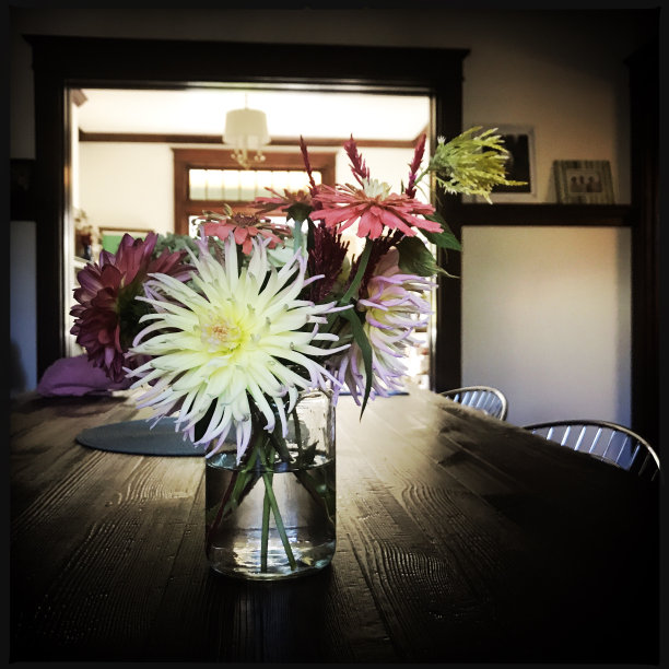 大丽花在秋天图片下载