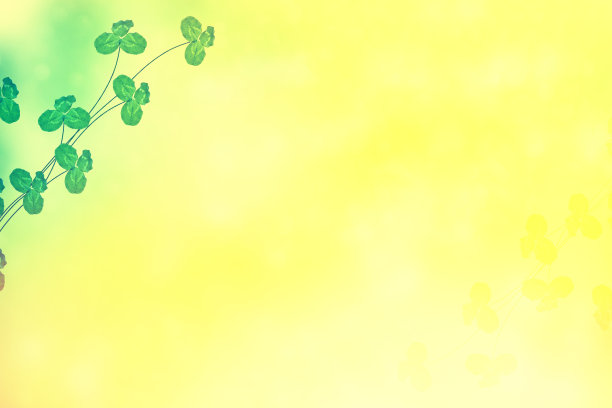 绿色的三叶草图片下载