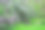 木凳和紫丁香图片下载