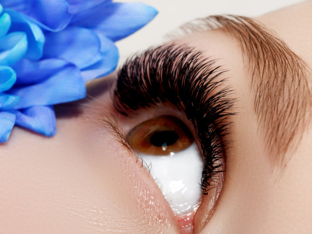 美丽的微距镜头的女性眼睛与经典干净的化妆。完美的形状的眉毛和长睫毛。化妆品和化妆。近距离微距时尚自然眼妆图片下载