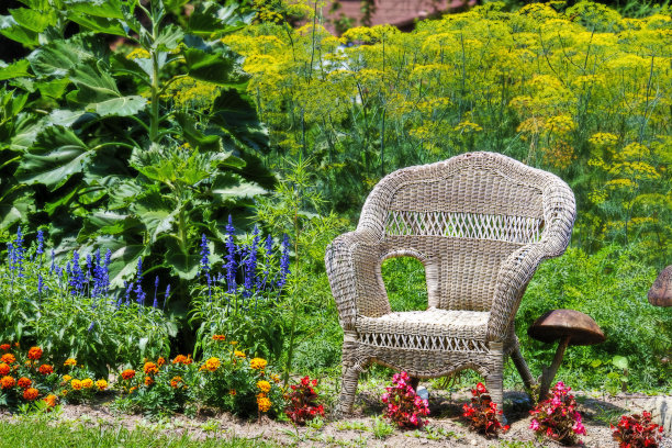 花园里的柳条椅图片下载