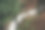 美丽的瀑布在森林中的河流在山区。有水流和岩石的喀斯喀特河。在夏日阳光的照射下，美丽的河流景观。瀑布雨林图片图片下载