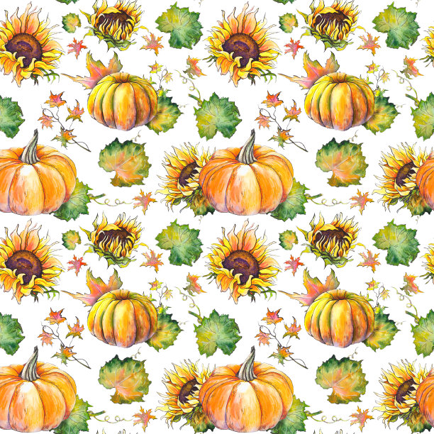 南瓜和向日葵的图案图片下载