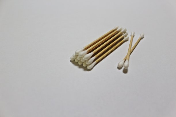 棉花花蕾图片下载