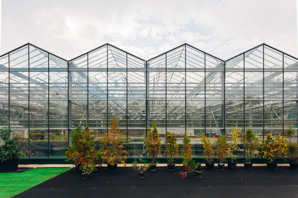 种植蔬菜和花卉的现代温室图片下载