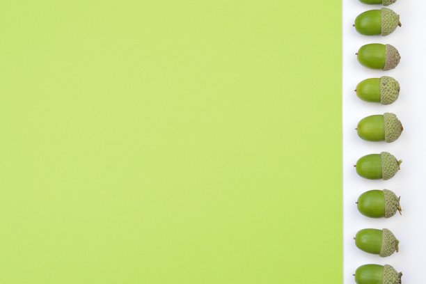 绿色的橡子在绿色和白色的树上排成一排图片下载