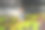 这座雕像位于水上，有莲花。图片下载