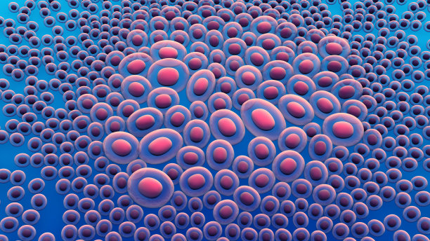 细胞或癌细胞生长图片下载