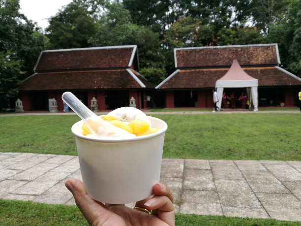 手里拿着白色纸杯中的椰子冰淇淋。最喜欢的甜点小吃。图片下载
