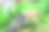 近景的装饰草坪在一个公园图片下载