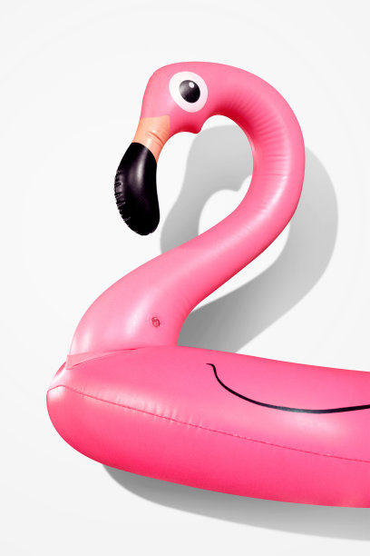 夏天充气火烈鸟图片下载