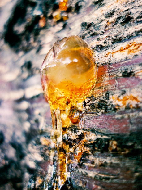 近距离观察树脂素材图片