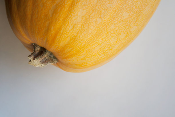 黄色南瓜，带有拷贝空间图片下载
