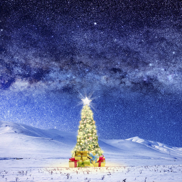圣诞树上覆盖着白雪的风景，夜空点缀着星星图片下载