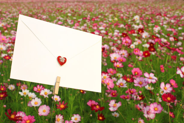 宇宙花田里的情书。秋天的氛围背景。图片下载