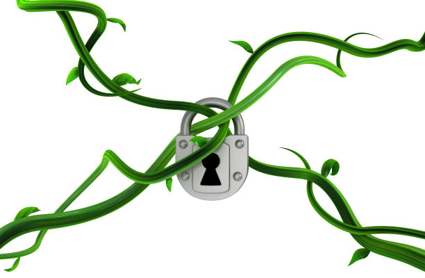 植物藤蔓绿色，金属锁图片下载