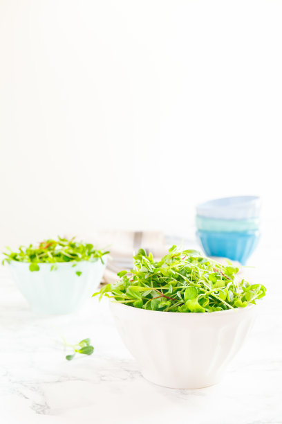 混合蔬菜沙拉在碗。超级食品零食概念图片下载