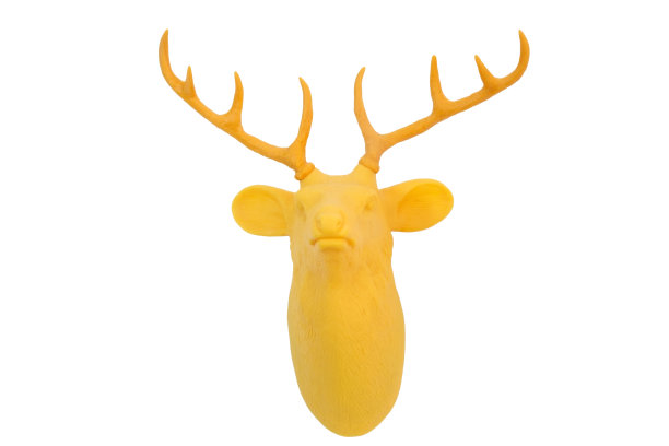 塑料鹿头图片下载