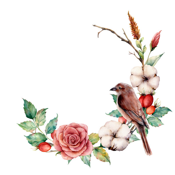 水彩花环与鸟和棉花。手工绘制的树与玫瑰，玫瑰浆果和叶子孤立在白色的背景。插图设计，织物或背景。图片下载