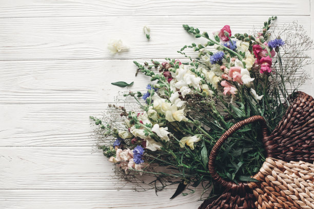 美丽的野花在柳条袋在质朴的白色木制背景平躺。五彩缤纷的花篮在灯光下，文字空间，俯视图。农村大气的时刻。夏天的照片图片下载