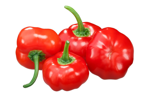 Aji巴西南瓜辣椒，小路图片下载