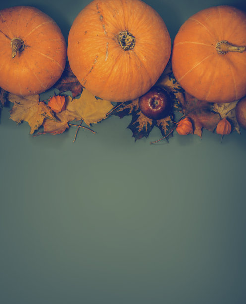 秋天南瓜假日图片下载