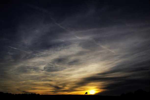 马在日落时分图片下载
