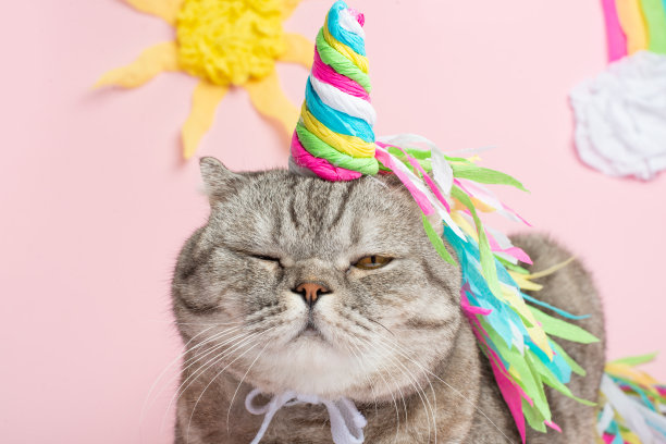 可爱的猫独角兽与彩虹的角在粉红色的背景与阳光，云彩，和彩色的彩虹。一个童话，时尚，有趣和甜蜜的猫，爱和庆祝的概念图片下载