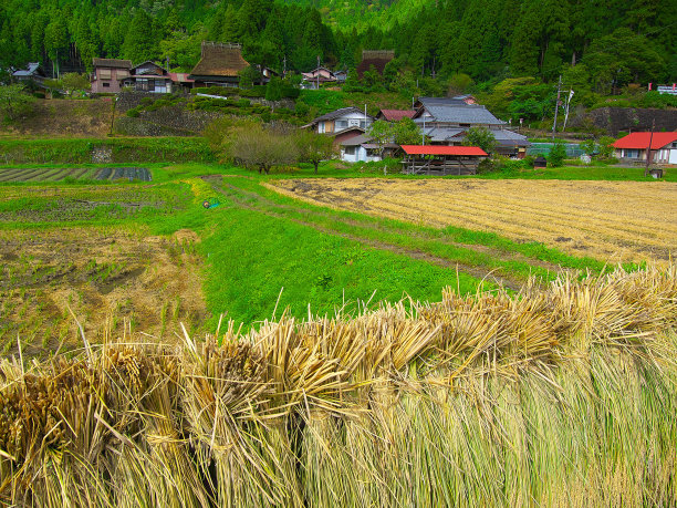 日本landscape422图片下载