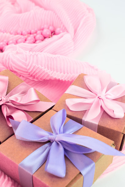 为女性时尚采购设置配件。图片下载