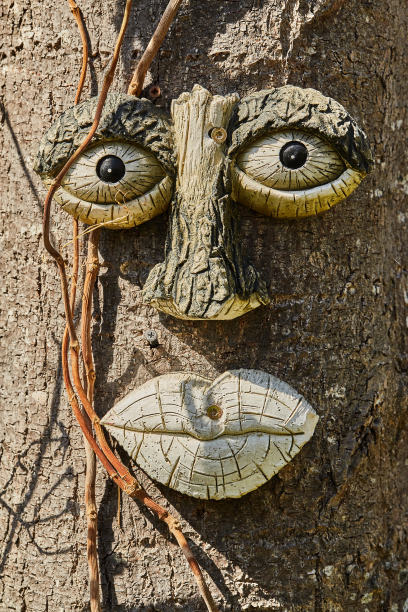 树干上的拟人脸特写镜头图片下载