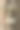 树干上的拟人脸特写镜头图片下载