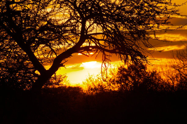 南非缤纷多云的日落图片下载