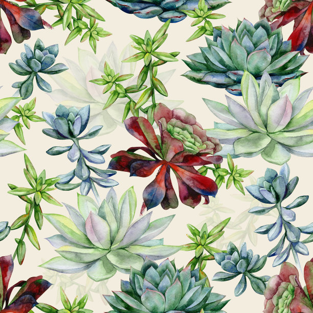 水彩多肉无缝图案。图片下载