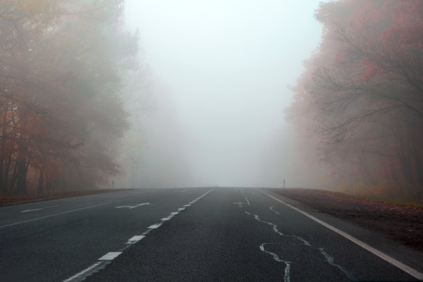 秋天的路在雾蒙蒙的森林里。软的焦点。健美的图片下载