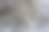 动物软毛特写图片下载