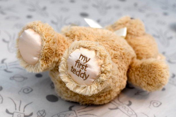 我的第一个玩具图片下载