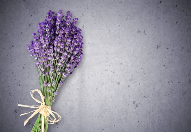 花束。图片下载