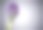 花束。图片下载