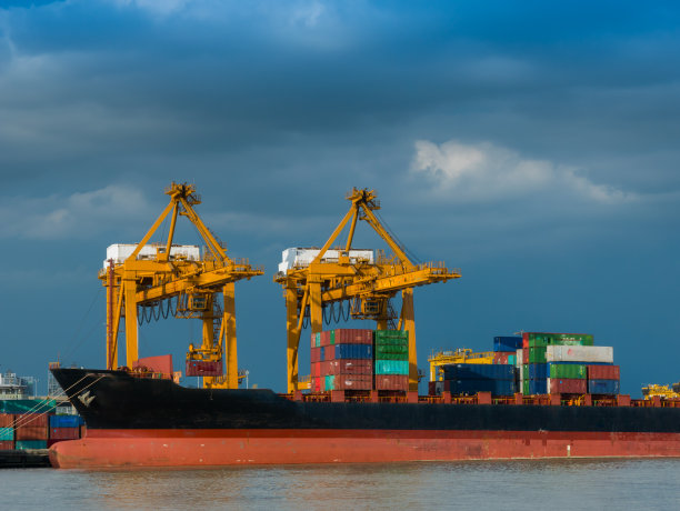 海运的照片正在安排大集装箱图片下载