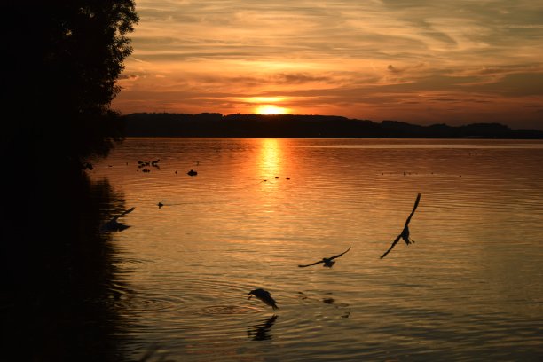 日落日落图片下载