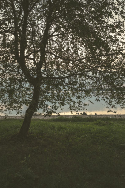 色彩斑斓的日落湖边与树木和红色的天空在背景-复古复古的样子图片下载