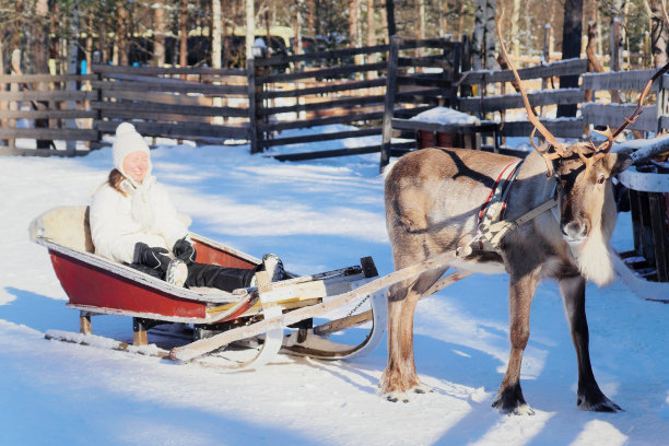 微笑的女人在驯鹿雪橇上在冬季罗瓦涅米图片下载