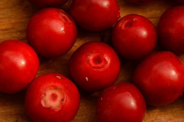 越橘成熟后，成为美食家的美味佳肴图片下载