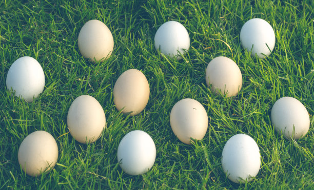 春天的绿色花园和复活节彩蛋图片下载