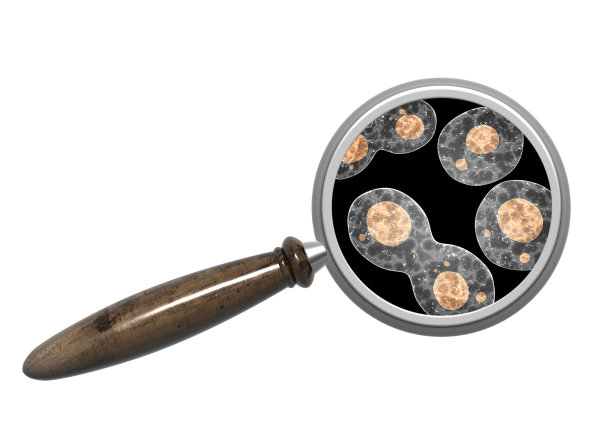 放大镜和病原菌图片下载