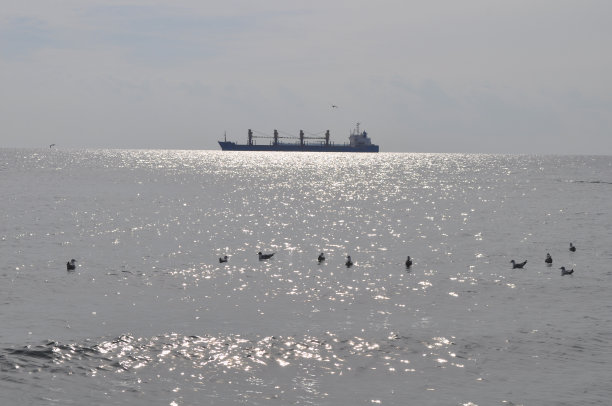 货船运输图片下载